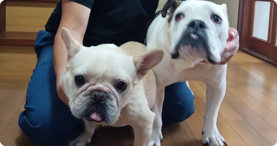 ※愛犬のお名前